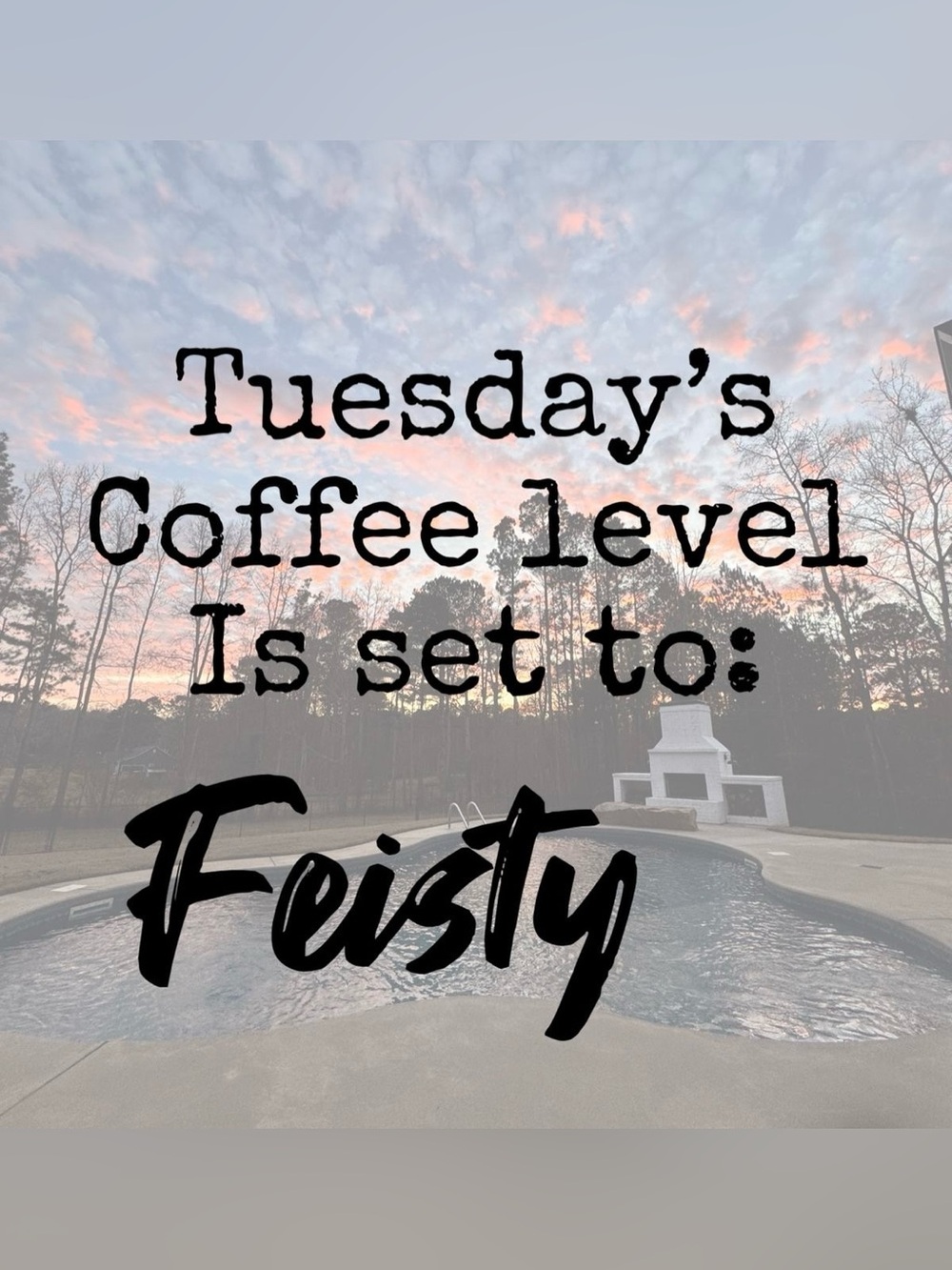 🩷 ✨ Happy Tuesday Darlings ✨🩷